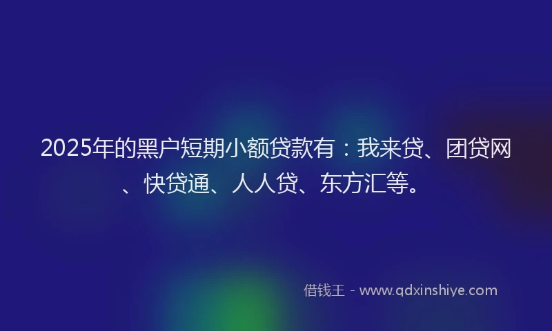 2025年的黑户短期小额贷款有：我来贷、团贷网、快贷通、人人贷、东方汇等。