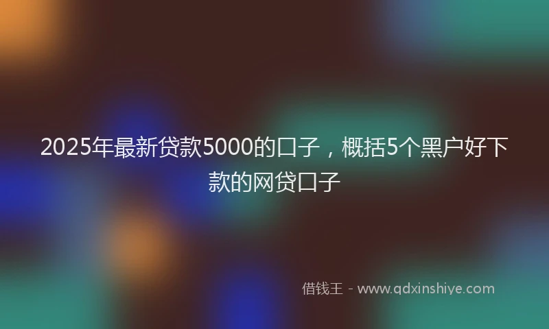 2025年最新贷款5000的口子，概括5个黑户好下款的网贷口子