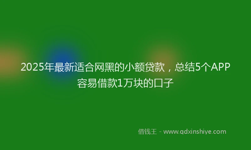 2025年最新适合网黑的小额贷款，总结5个APP容易借款1万块的口子