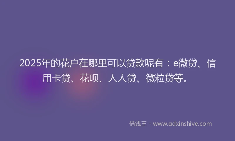 2025年的花户在哪里可以贷款呢有：e微贷、信用卡贷、花呗、人人贷、微粒贷等。