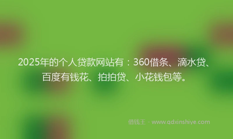 2025年的个人贷款网站有：360借条、滴水贷、百度有钱花、拍拍贷、小花钱包等。