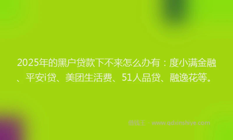 2025年的黑户贷款下不来怎么办有：度小满金融、平安i贷、美团生活费、51人品贷、融逸花等。