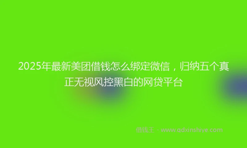 2025年最新美团借钱怎么绑定微信，归纳五个真正无视风控黑白的网贷平台