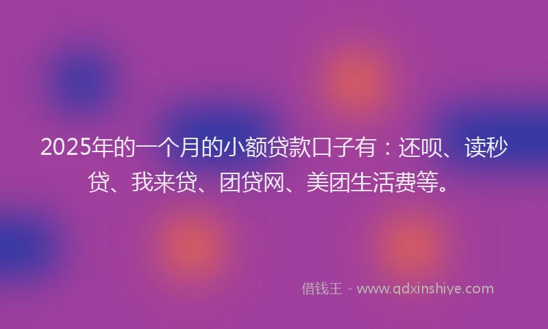 2025年的一个月的小额贷款口子有：还呗、读秒贷、我来贷、团贷网、美团生活费等。