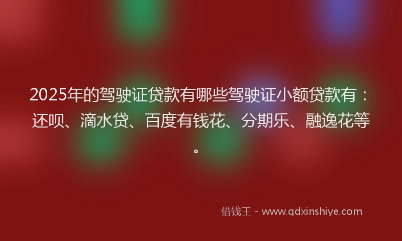 2025年的驾驶证贷款有哪些驾驶证小额贷款有：还呗、滴水贷、百度有钱花、分期乐、融逸花等。