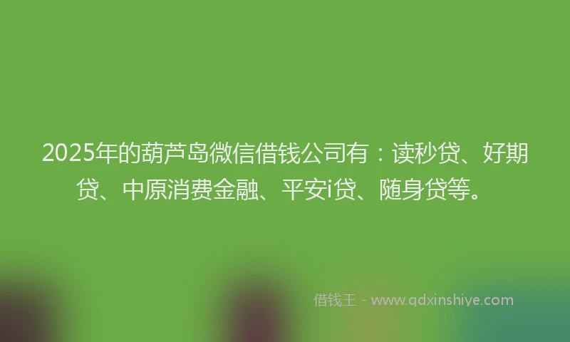 2025年的葫芦岛微信借钱公司有：读秒贷、好期贷、中原消费金融、平安i贷、随身贷等。