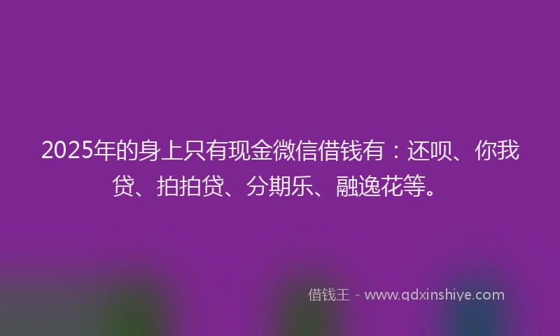 2025年的身上只有现金微信借钱有：还呗、你我贷、拍拍贷、分期乐、融逸花等。