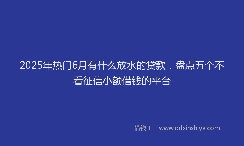 2025年热门6月有什么放水的贷款，盘点五个不看征信小额借钱的平台