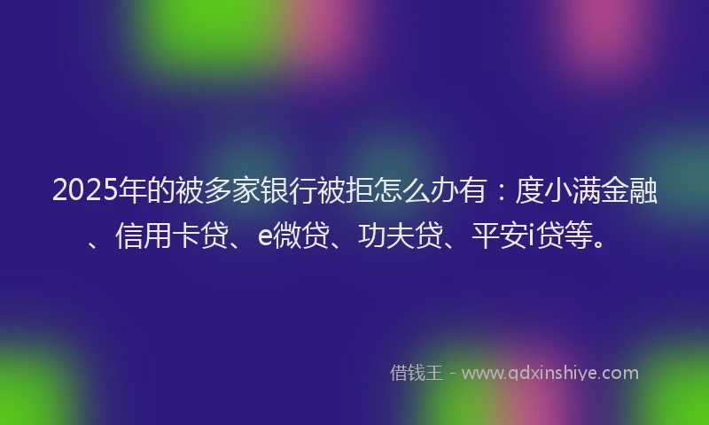 2025年的被多家银行被拒怎么办有：度小满金融、信用卡贷、e微贷、功夫贷、平安i贷等。