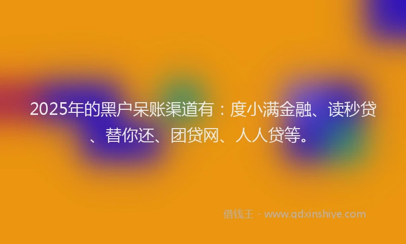 2025年的黑户呆账渠道有：度小满金融、读秒贷、替你还、团贷网、人人贷等。