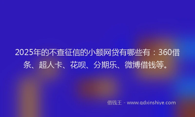 2025年的不查征信的小额网贷有哪些有：360借条、超人卡、花呗、分期乐、微博借钱等。