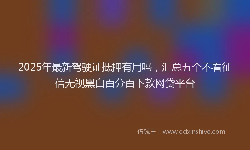 2025年最新驾驶证抵押有用吗，汇总五个不看征信无视黑白百分百下款网贷平台