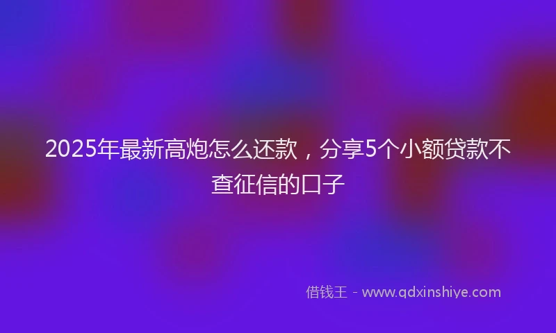 2025年最新高炮怎么还款，分享5个小额贷款不查征信的口子