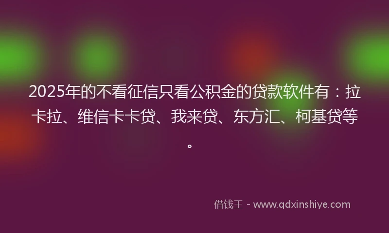2025年的不看征信只看公积金的贷款软件有：拉卡拉、维信卡卡贷、我来贷、东方汇、柯基贷等。