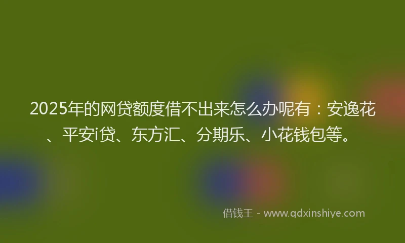 2025年的网贷额度借不出来怎么办呢有：安逸花、平安i贷、东方汇、分期乐、小花钱包等。