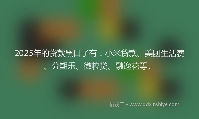 2025年的贷款黑口子有：小米贷款、美团生活费、分期乐、微粒贷、融逸花等。