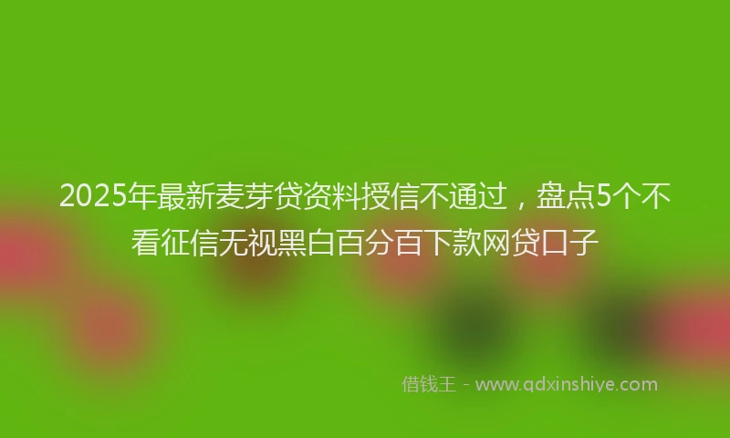 2025年最新麦芽贷资料授信不通过，盘点5个不看征信无视黑白百分百下款网贷口子
