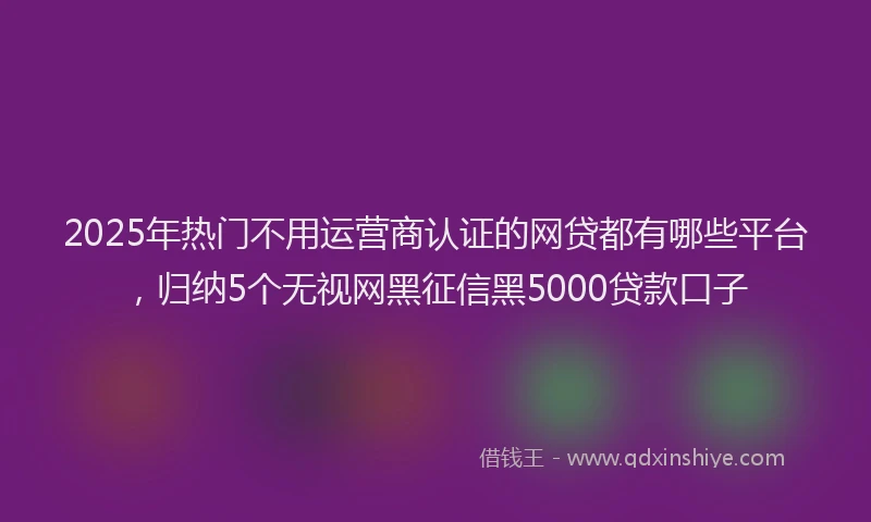 2025年热门不用运营商认证的网贷都有哪些平台，归纳5个无视网黑征信黑5000贷款口子
