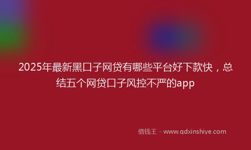 2025年最新黑口子网贷有哪些平台好下款快，总结五个网贷口子风控不严的app