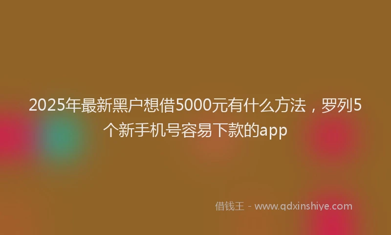 2025年最新黑户想借5000元有什么方法，罗列5个新手机号容易下款的app