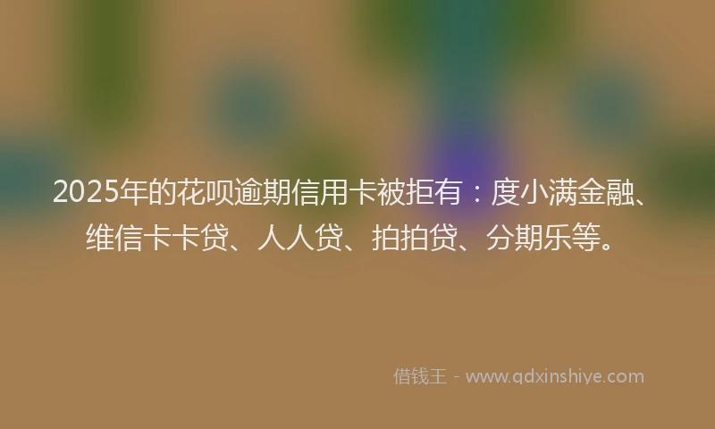 2025年的花呗逾期信用卡被拒有：度小满金融、维信卡卡贷、人人贷、拍拍贷、分期乐等。
