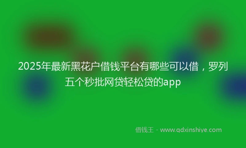 2025年最新黑花户借钱平台有哪些可以借，罗列五个秒批网贷轻松贷的app