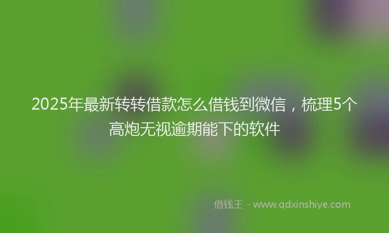 2025年最新转转借款怎么借钱到微信，梳理5个高炮无视逾期能下的软件