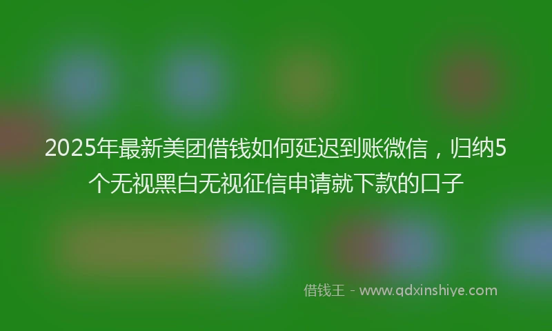 2025年最新美团借钱如何延迟到账微信，归纳5个无视黑白无视征信申请就下款的口子