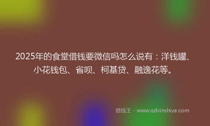 2025年的食堂借钱要微信吗怎么说有：洋钱罐、小花钱包、省呗、柯基贷、融逸花等。