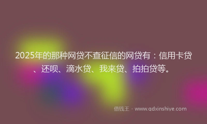 2025年的那种网贷不查征信的网贷有：信用卡贷、还呗、滴水贷、我来贷、拍拍贷等。