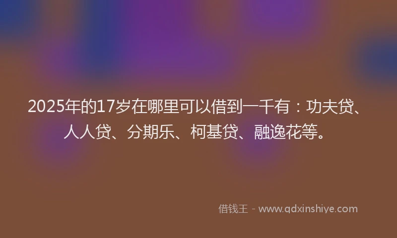 2025年的17岁在哪里可以借到一千有：功夫贷、人人贷、分期乐、柯基贷、融逸花等。