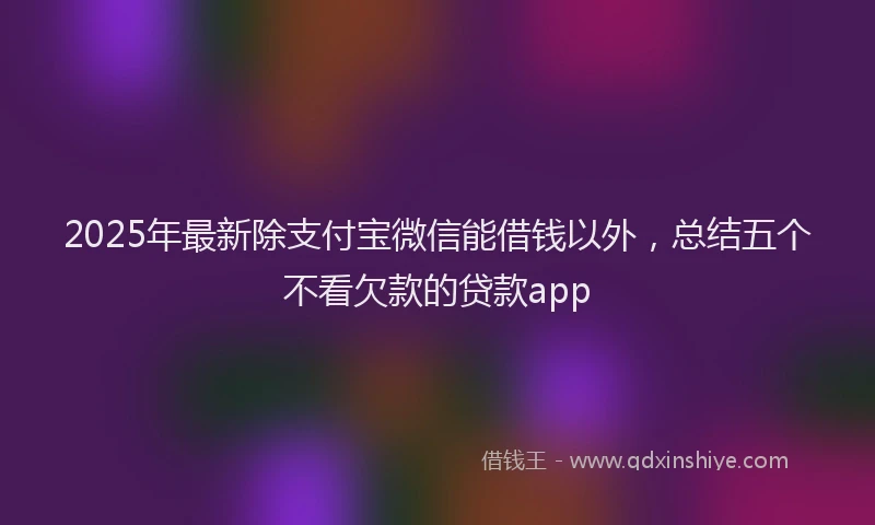 2025年最新除支付宝微信能借钱以外，总结五个不看欠款的贷款app