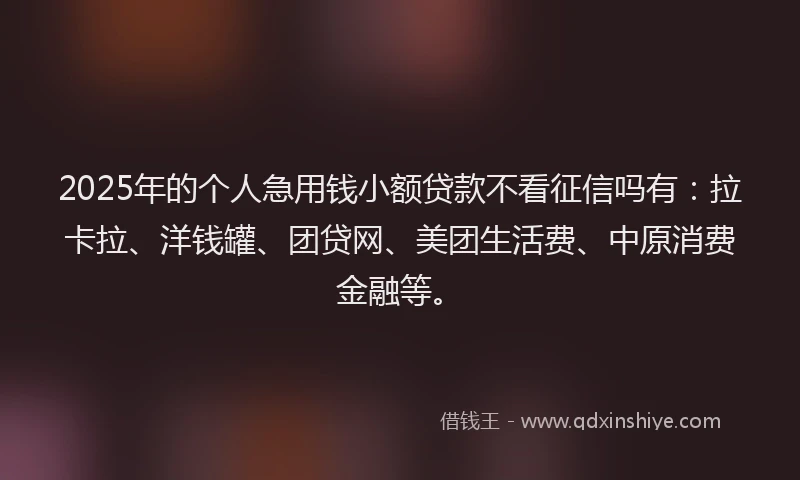 2025年的个人急用钱小额贷款不看征信吗有：拉卡拉、洋钱罐、团贷网、美团生活费、中原消费金融等。