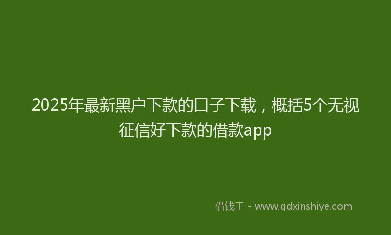2025年最新黑户下款的口子下载，概括5个无视征信好下款的借款app