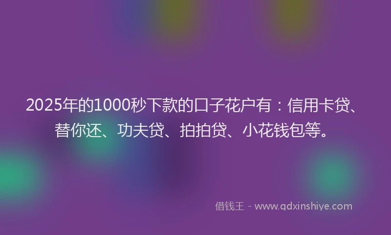 2025年的1000秒下款的口子花户有：信用卡贷、替你还、功夫贷、拍拍贷、小花钱包等。