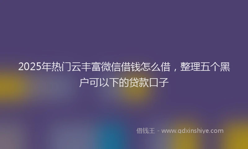 2025年热门云丰富微信借钱怎么借，整理五个黑户可以下的贷款口子