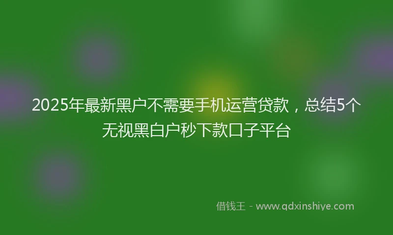 2025年最新黑户不需要手机运营贷款，总结5个无视黑白户秒下款口子平台