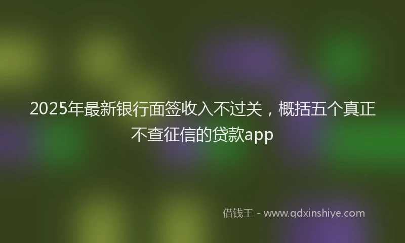 2025年最新银行面签收入不过关，概括五个真正不查征信的贷款app