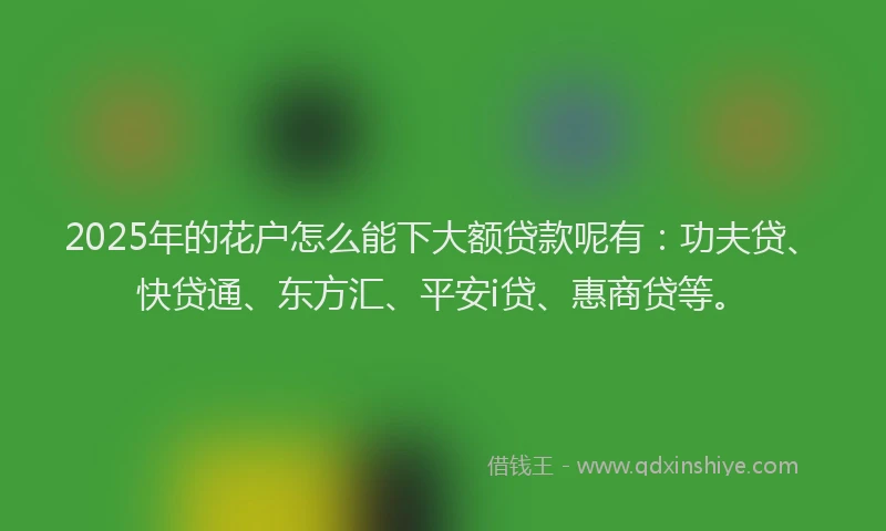 2025年的花户怎么能下大额贷款呢有：功夫贷、快贷通、东方汇、平安i贷、惠商贷等。