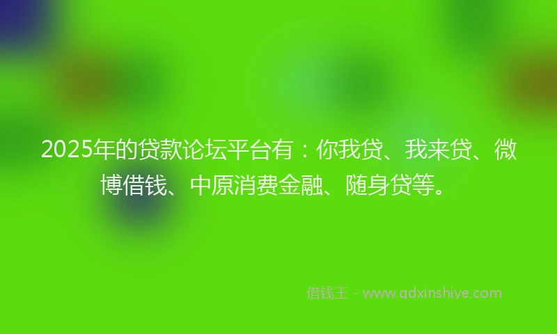 2025年的贷款论坛平台有：你我贷、我来贷、微博借钱、中原消费金融、随身贷等。