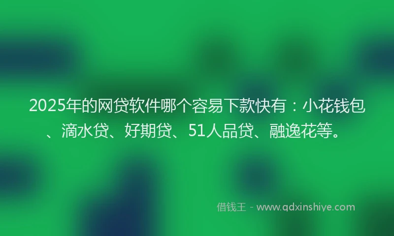 2025年的网贷软件哪个容易下款快有：小花钱包、滴水贷、好期贷、51人品贷、融逸花等。