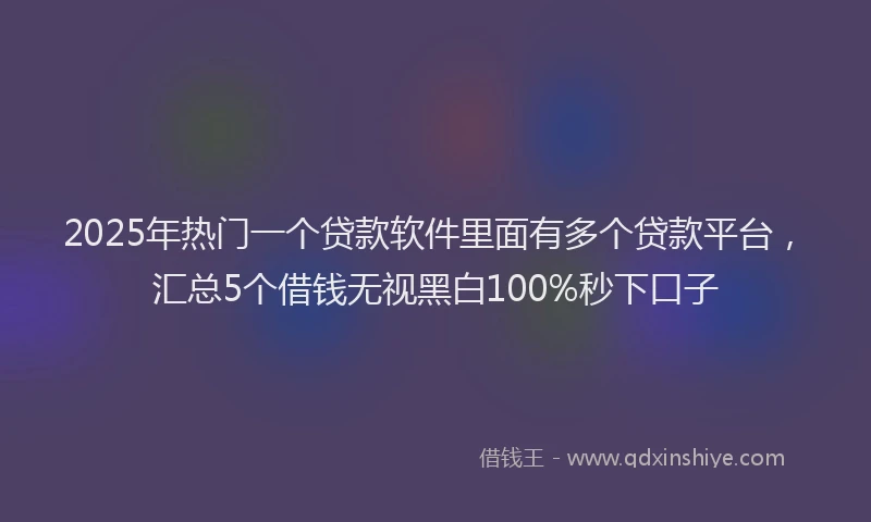 2025年热门一个贷款软件里面有多个贷款平台，汇总5个借钱无视黑白100%秒下口子