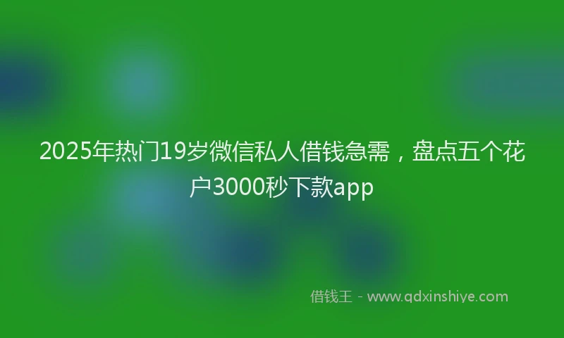 2025年热门19岁微信私人借钱急需，盘点五个花户3000秒下款app