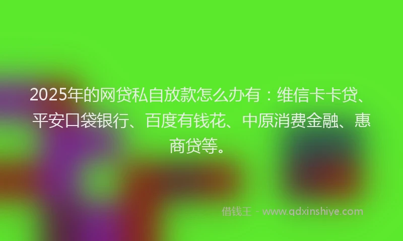 2025年的网贷私自放款怎么办有：维信卡卡贷、平安口袋银行、百度有钱花、中原消费金融、惠商贷等。