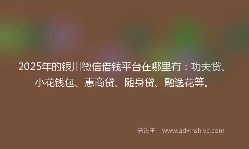 2025年的银川微信借钱平台在哪里有：功夫贷、小花钱包、惠商贷、随身贷、融逸花等。