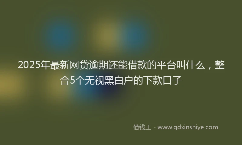 2025年最新网贷逾期还能借款的平台叫什么，整合5个无视黑白户的下款口子
