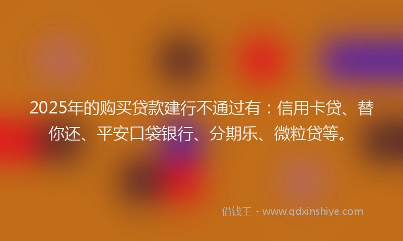 2025年的购买贷款建行不通过有：信用卡贷、替你还、平安口袋银行、分期乐、微粒贷等。