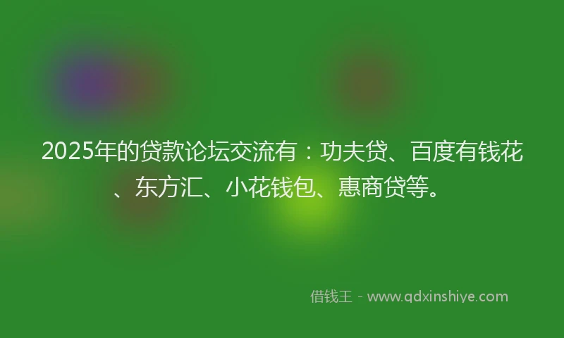 2025年的贷款论坛交流有：功夫贷、百度有钱花、东方汇、小花钱包、惠商贷等。