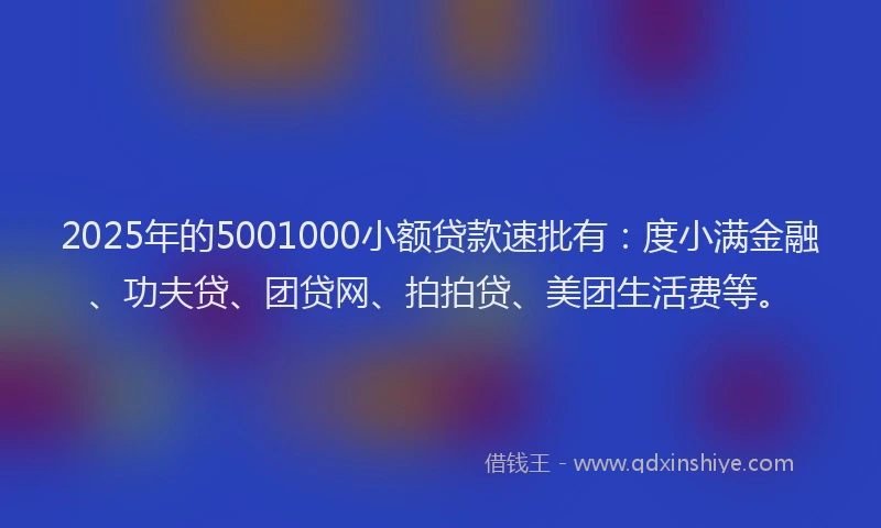 2025年的5001000小额贷款速批有：度小满金融、功夫贷、团贷网、拍拍贷、美团生活费等。