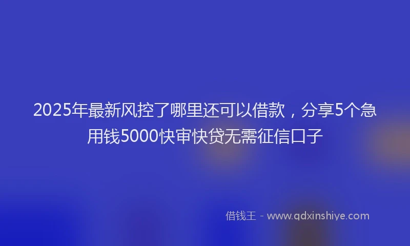 2025年最新风控了哪里还可以借款，分享5个急用钱5000快审快贷无需征信口子